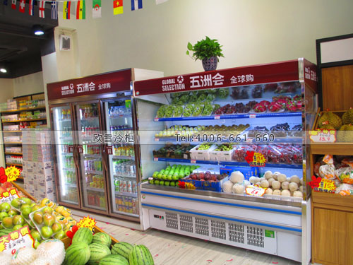 B856廣東省東莞市五洲會(huì)全球購(gòu)超市冷藏柜