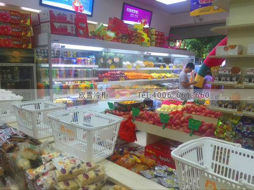 B887江西省撫州市喂肚肚食品鋪水果保鮮柜