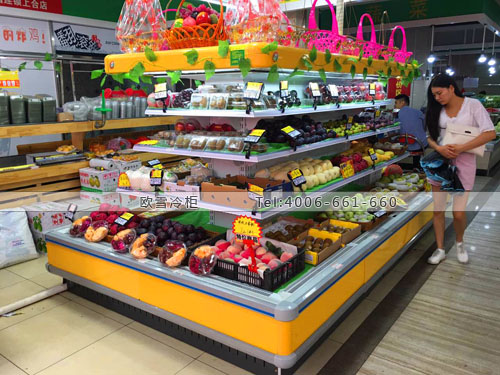 B775廣東省深圳市寶安區(qū)森林果園保鮮展示柜