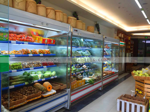 B848廣東省深圳市福田區(qū)壹味有機生活園冷柜