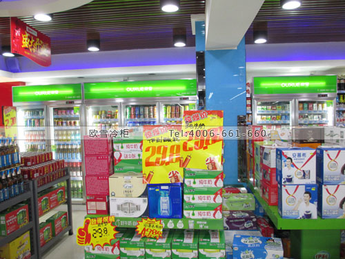 B790廣東省東莞市大嶺山鎮(zhèn)中環(huán)生活廣場超市冷柜