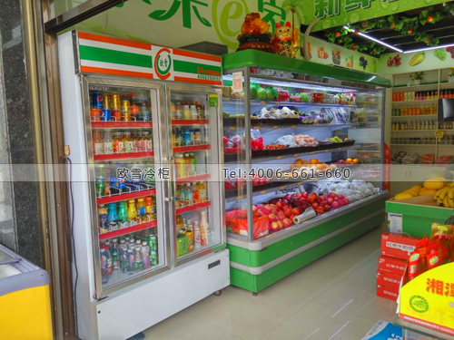 B810湖南省岳陽市臨湘市水果e家保鮮展示柜