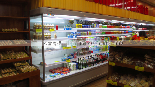 B825廣西省玉林市富貴林精品超市冷柜