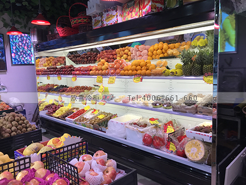 B909四川省眉山市彭山縣果弟坊保鮮展示柜