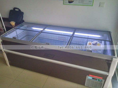 B744江蘇省南京市棲霞區(qū)臻品匯臥式冷凍柜