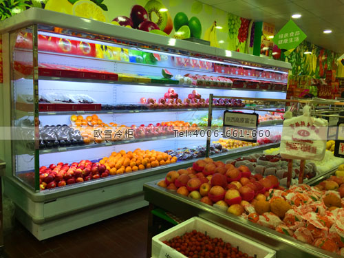 B779上海市閔行區(qū)君源生鮮超市冷柜