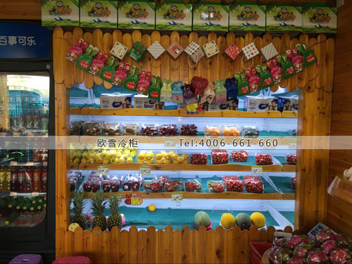 B809湖北省武漢市東西湖區(qū)幸福鮮果園保鮮柜
