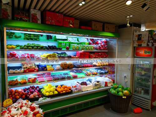 B802湖南省衡陽(yáng)市石鼓區(qū)鮮果時(shí)代水果保鮮柜