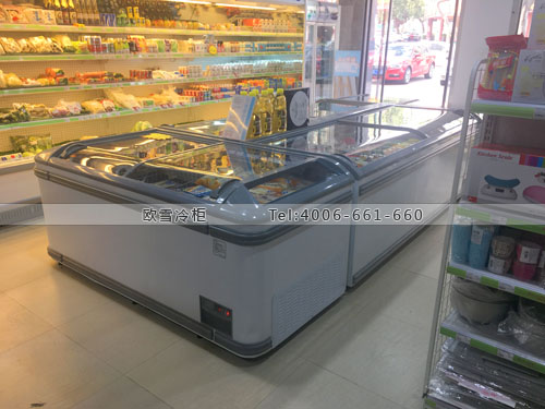 B765福建省廈門市集美區(qū)天樂仕生活館超市保鮮柜