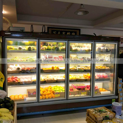 B866廣東省江門市恩平城區(qū)華城果品果鮮店保鮮柜