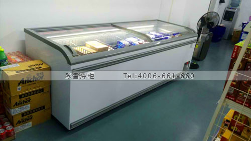 B750浙江省杭州市下城區(qū)稻香園王琳便利店臥式冷凍柜