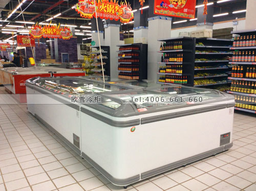 B824湖北省孝感市楚天紅易購(gòu)超市冷柜