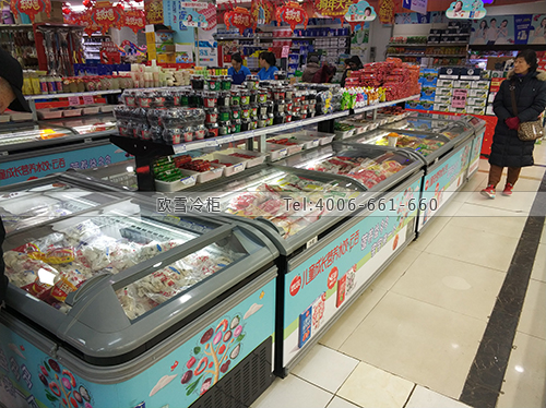 B950北京市豐臺區(qū)世紀(jì)家家福生活廣場臥式冷凍柜