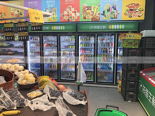 B961江西省南昌市新建區(qū)袋魚(yú)生鮮超市冷柜