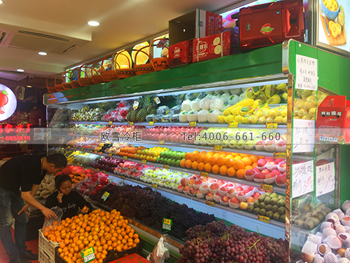 B964重慶市九龍坡區(qū)顏加法超級(jí)水果保鮮柜