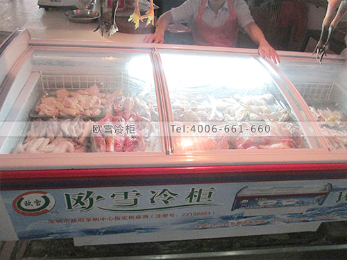 D14東莞東城市場臥式冷柜