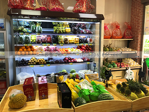 B967江西省吉安市新干縣鮮奈兒進(jìn)口水果食品冷柜