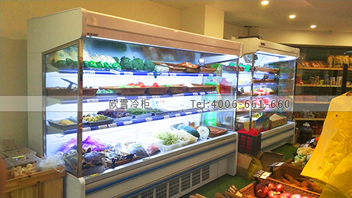 B966福建省晉江市今禾食材生鮮超市冷柜