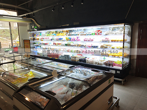 B987江西省新余市渝水區(qū)龍泉優(yōu)品超市冷柜