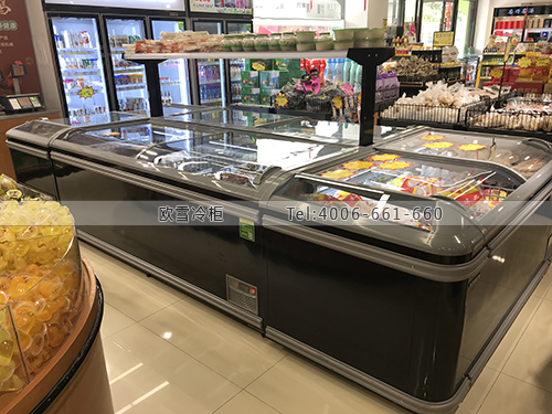 B943江蘇省張家港市徽風(fēng)皖韻土特產(chǎn)超市冷凍柜