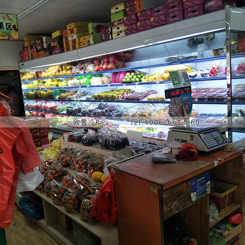 B942江蘇省蘇州市太倉市永鮮水果·進口食品便利店超市冷柜