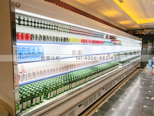 C041天津南開E樂迪連鎖KTV冷柜冰柜