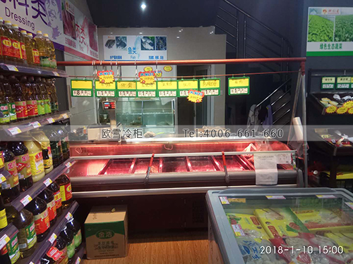 B939湖南省長(zhǎng)沙市天心區(qū)田園香生鮮超市冷藏柜