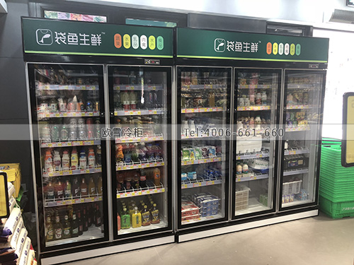 B957江西省南昌市高新區(qū)袋魚生鮮超市冷柜