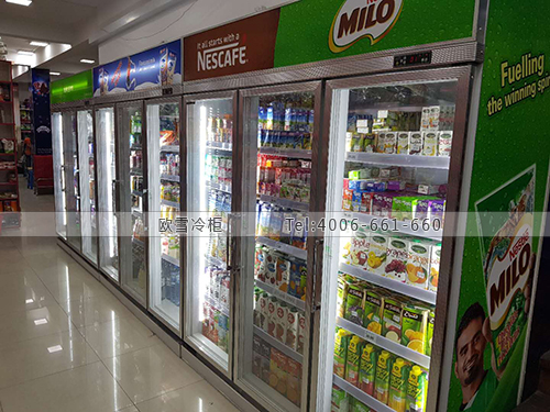 B956馬爾代夫IHSAAN FIHAARA超市冷柜