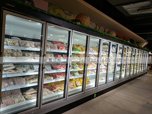 B990廣西省崇左市寧明縣新西洋超市冷柜