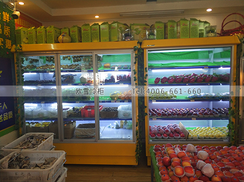 B924廣東省江門(mén)市臺(tái)山市家之選果業(yè)保鮮柜