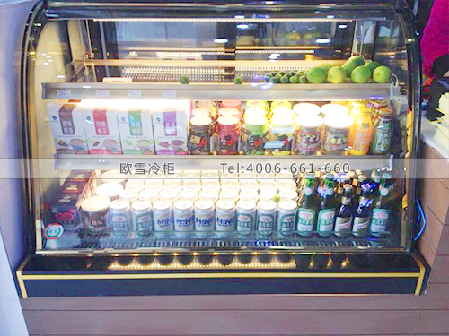 E096深圳龍崗魔法炸雞餐廳廚房冷柜