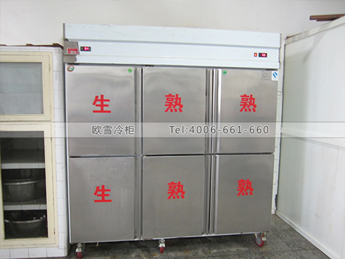 E085上海徐匯紅雙喜股份有限公司廚房冷柜