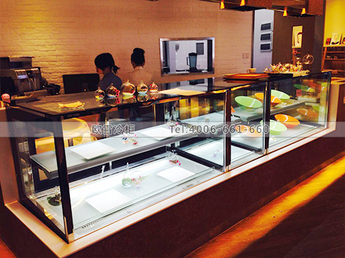 F046深圳南山西麗甜品店冷柜冰柜