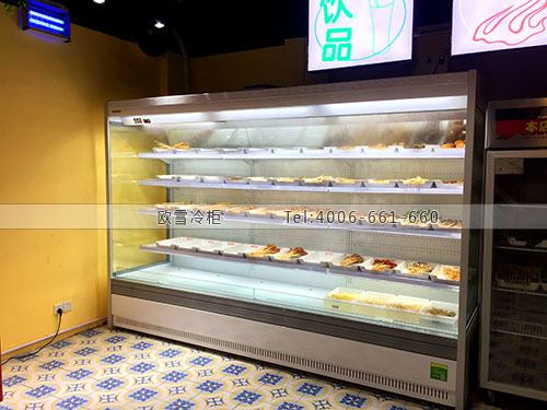 E175廣東省深圳市福田區(qū)花簽簽冷藏展示柜