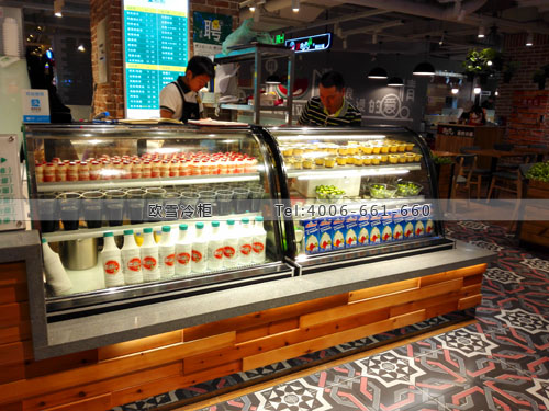 E151四川省成都市成華區(qū)1點點奶茶店冷藏柜