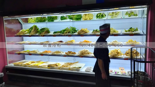 E125福建省廈門市思明區(qū)巴串騷餐廳麻辣燙串串廠冷柜