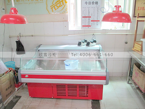 G023廣西南寧元安元食品冷藏展示柜