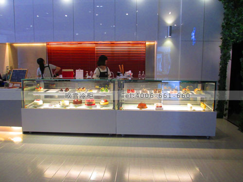 F137廣東省東莞市莞城區(qū)秘密花園蛋糕店保鮮柜