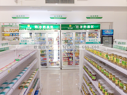 H029湖南長(zhǎng)沙某大藥房冷柜冰柜