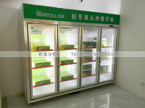 G034廣州海珠陜果冷柜