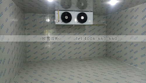 I027泰國旺泰物流冷庫