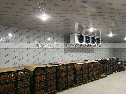 I116江蘇省南京市江寧區(qū)申通快遞冷庫(kù)