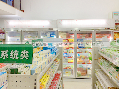 H035湖南長(zhǎng)沙某大藥房冷柜冰柜