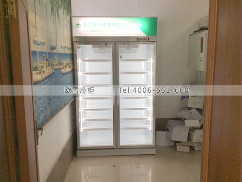 H041湖北黃岡麻城疾病控制中心冷柜冰柜