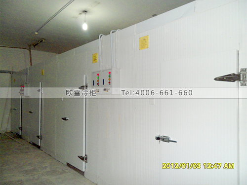 I001湖南長沙美高美國際美食冷藏庫