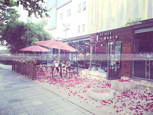 J012江蘇南京鹿先生の花鮮花保鮮柜