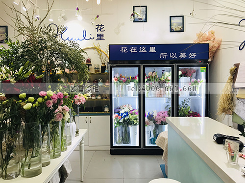 J016天津市河?xùn)|區(qū)花里鮮花保鮮展示柜