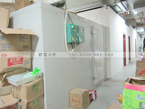 I032上海閔行萬家購物中心小型冷凍庫