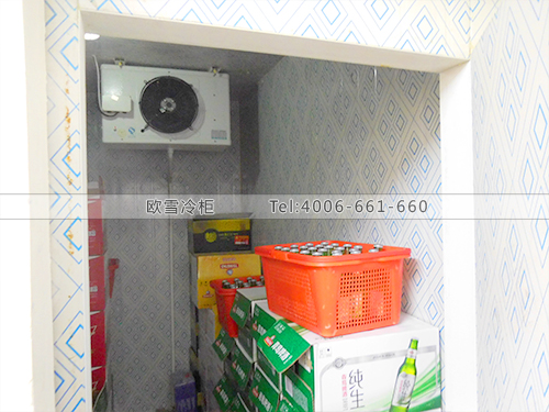 I056福建泉州歡樂星新館KTV小型冷庫